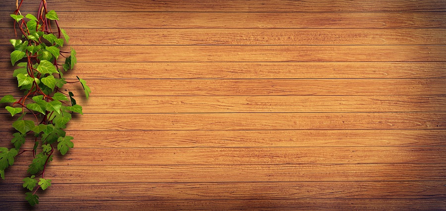 Colné zatriedenie – drevené lamely